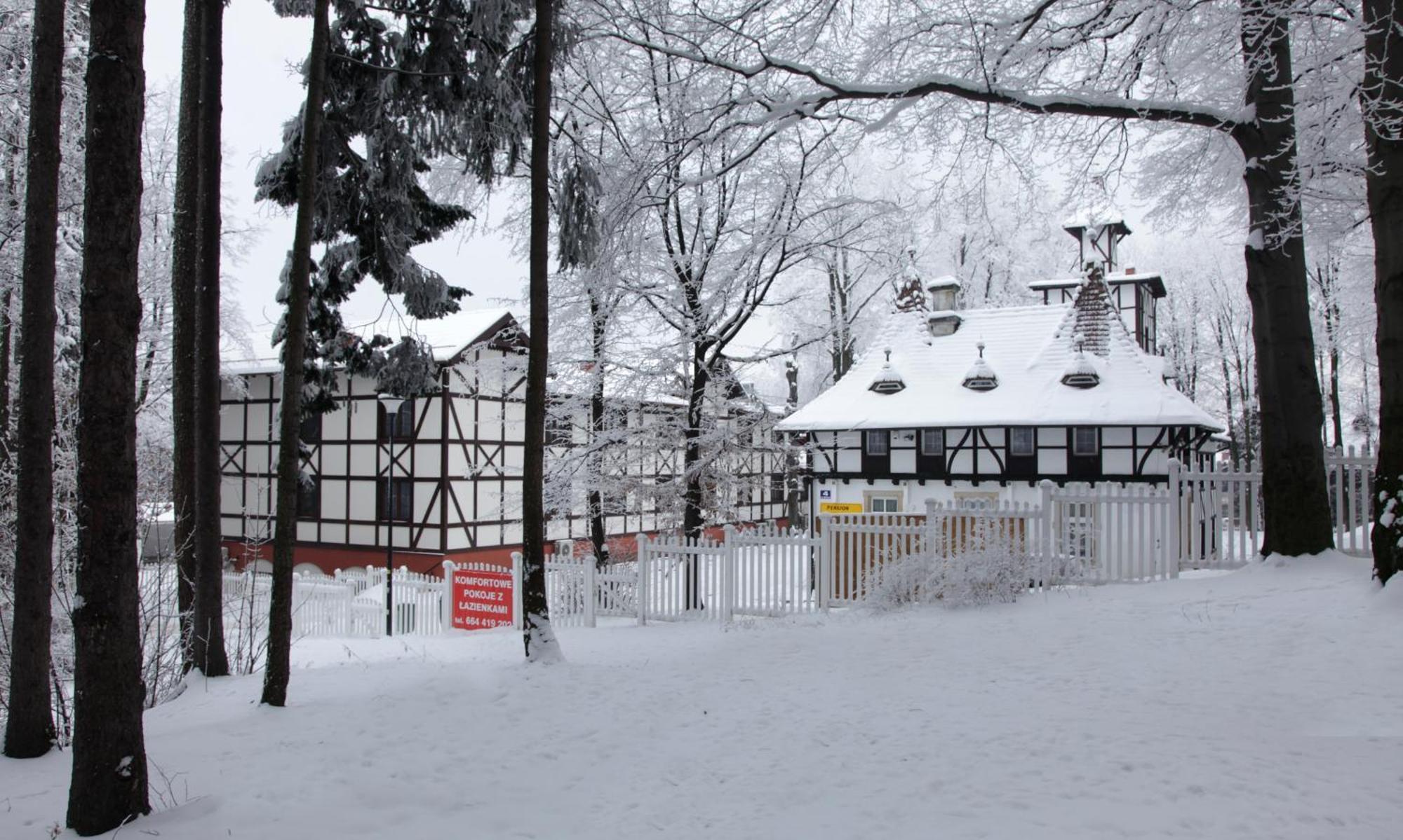 Bukowy Dworek Szczawno-Zdroj Exterior foto