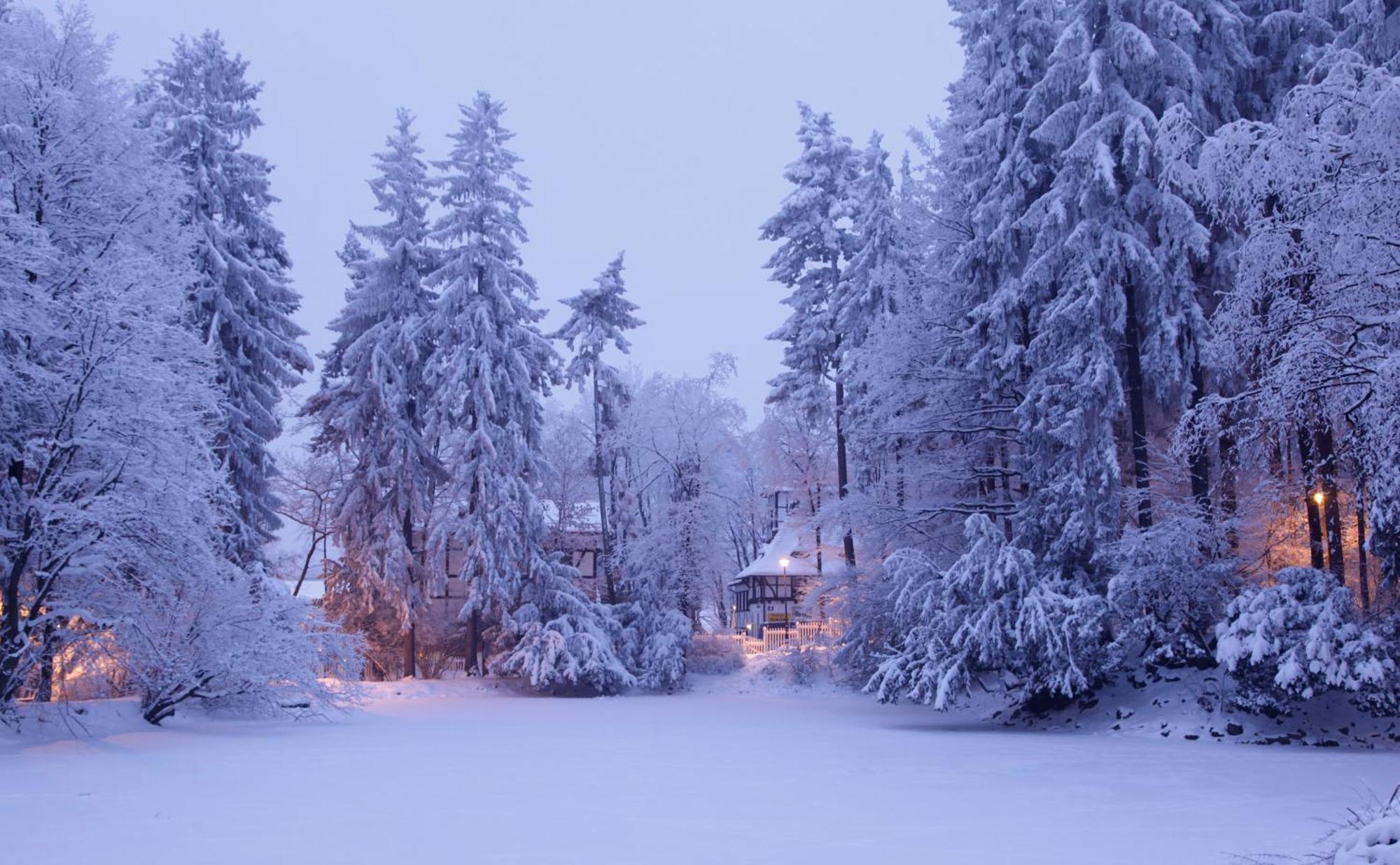 Bukowy Dworek Szczawno-Zdroj Exterior foto