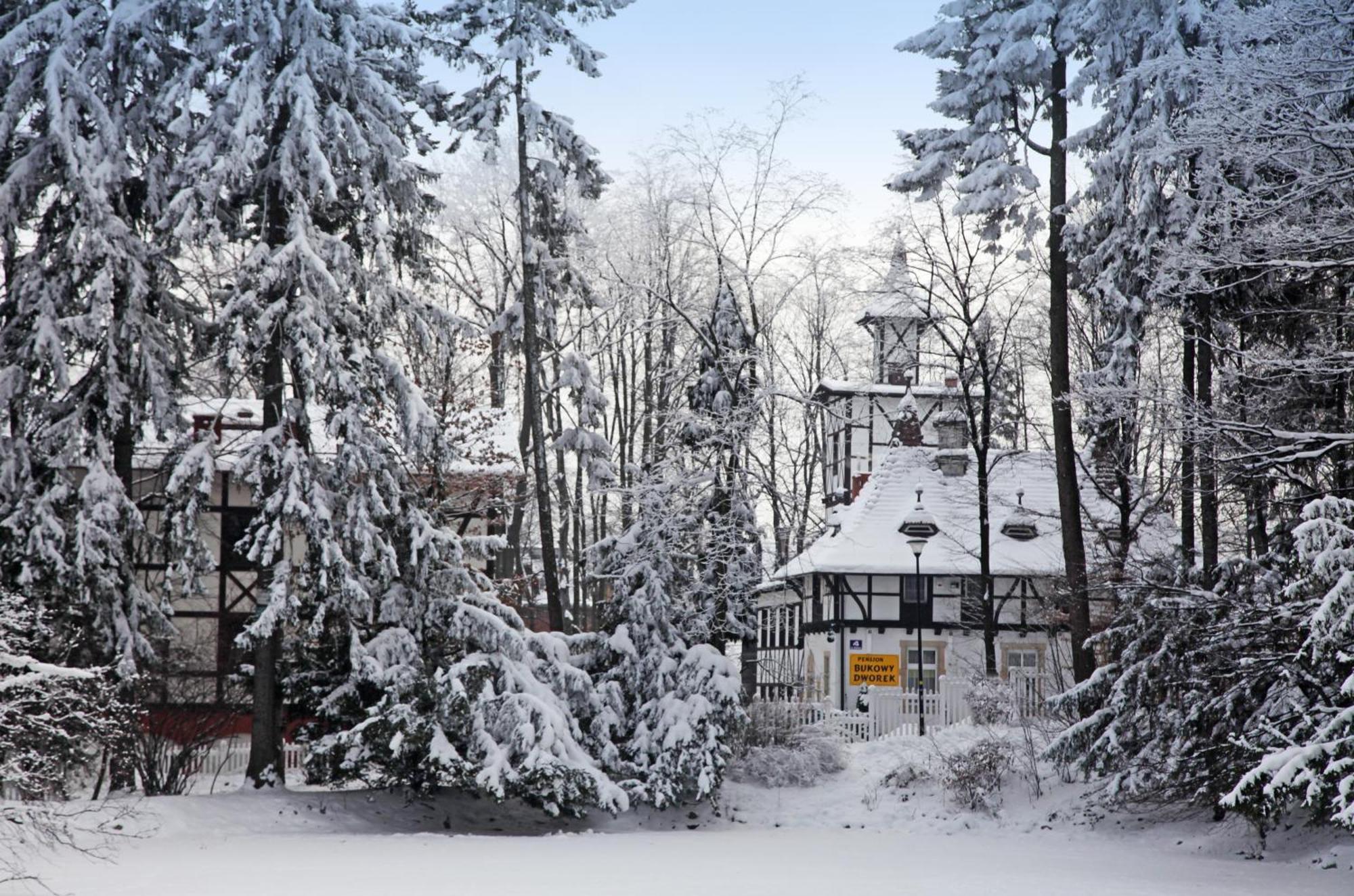Bukowy Dworek Szczawno-Zdroj Exterior foto