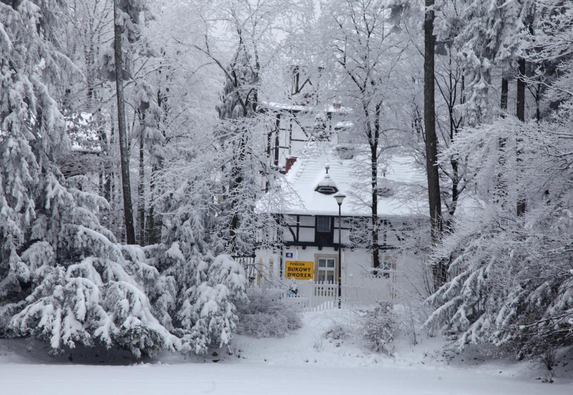 Bukowy Dworek Szczawno-Zdroj Exterior foto