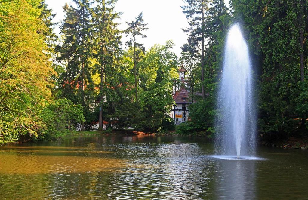 Bukowy Dworek Szczawno-Zdroj Exterior foto